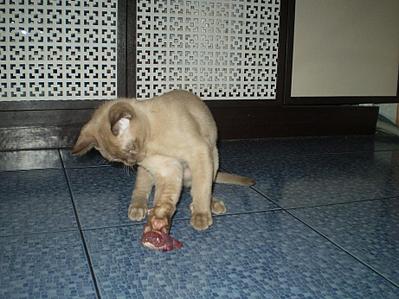 click for enlarge 922 X 692 106,3 Kb picture