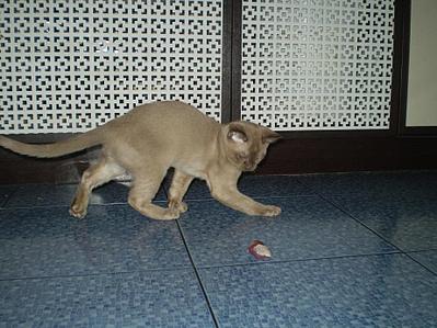 click for enlarge 922 X 692 120,1 Kb picture