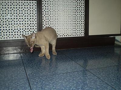 click for enlarge 922 X 692 110,3 Kb picture