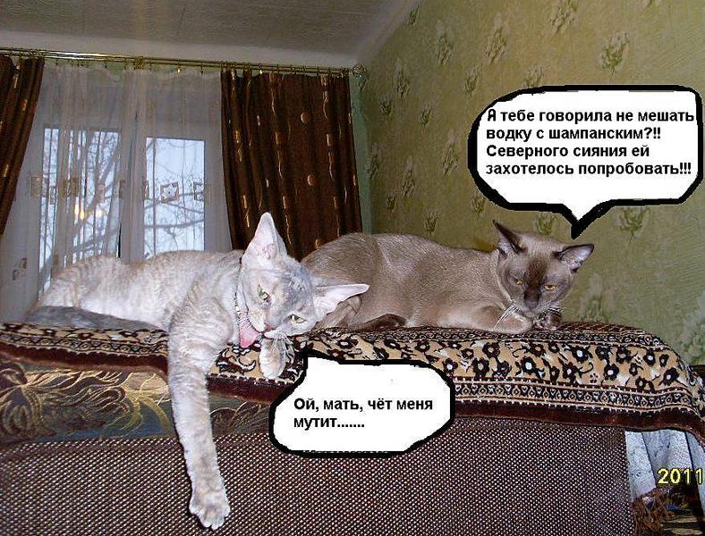 click for enlarge 879 X 669 184,3 Kb picture