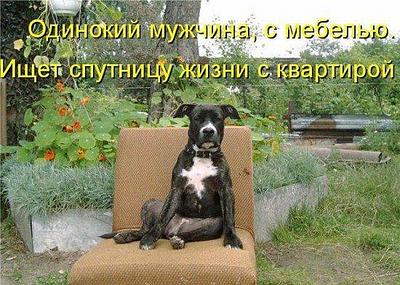 click for enlarge 550 X 392 632,5 Kb picture
