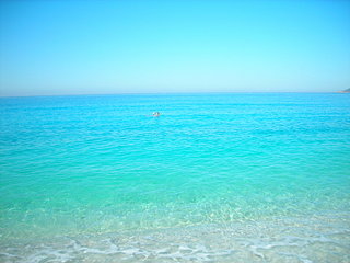 click for enlarge 1920 X 1440 368,2 Kb picture