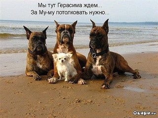 click for enlarge 600 X 450  78,0 Kb picture