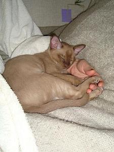 click for enlarge 584 X 778 82,3 Kb picture
