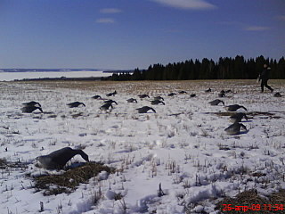 click for enlarge 640 X 480 61,8 Kb picture