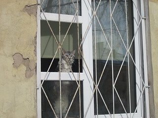 click for enlarge 1920 X 1440 492,1 Kb picture