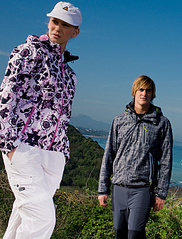 click for enlarge 512 X 672 178,0 Kb picture