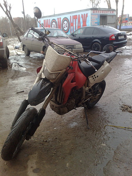 click for enlarge 1920 X 2560 769,5 Kb picture