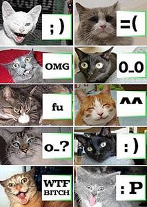 click for enlarge 568 X 800 79,1 Kb picture