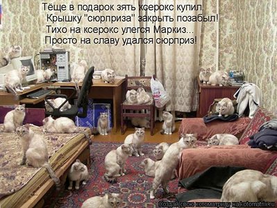 click for enlarge 700 X 524 99,4 Kb picture