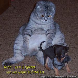 click for enlarge 651 X 650 62,2 Kb picture