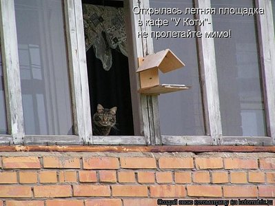 click for enlarge 700 X 524 73,8 Kb picture