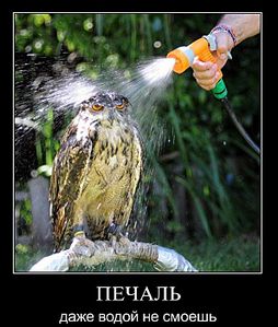 click for enlarge 593 X 700 78,8 Kb picture