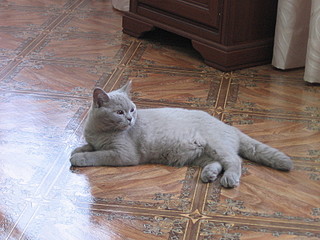 click for enlarge 1600 X 1200 651,8 Kb picture