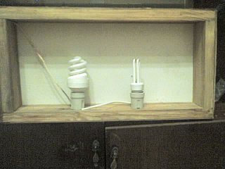 click for enlarge 640 X 480 61,4 Kb picture