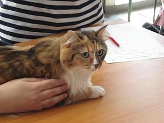 click for enlarge 448 X 336 21,7 Kb picture