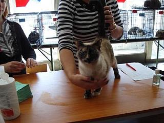 click for enlarge 448 X 336 29,7 Kb picture