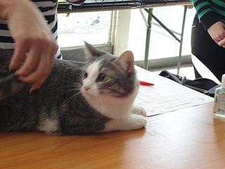 click for enlarge 448 X 336 21,3 Kb picture