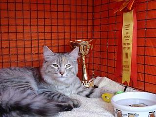 click for enlarge 448 X 336 29,3 Kb picture