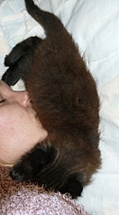 click for enlarge 565 X 1024 386,3 Kb picture