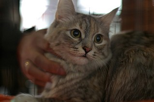 click for enlarge 800 X 532  50,4 Kb picture