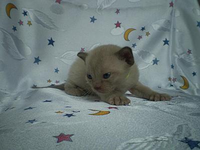 click for enlarge 922 X 692  76,2 Kb picture