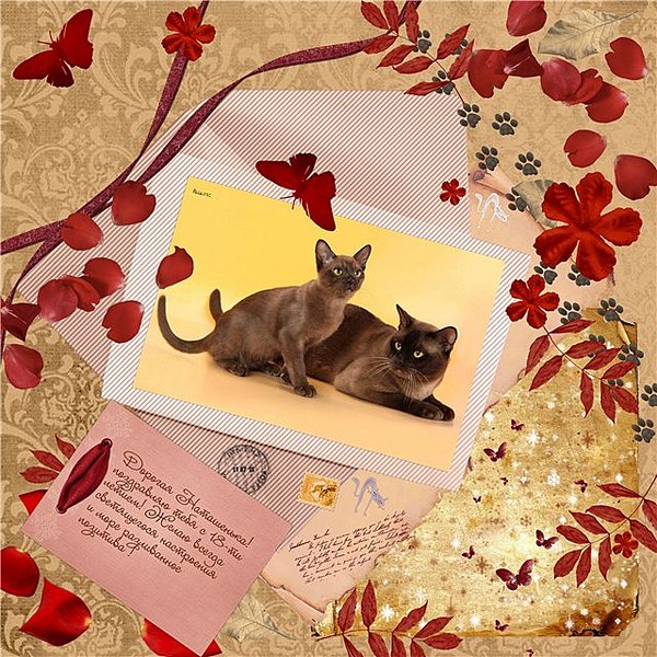 click for enlarge 640 X 640 123,6 Kb picture