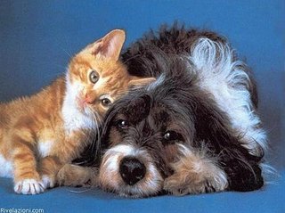 click for enlarge 500 X 374 39,3 Kb picture