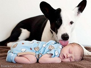 click for enlarge 400 X 300 23,4 Kb picture
