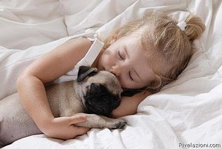 click for enlarge 500 X 335 27,6 Kb picture