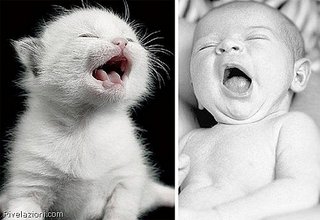 click for enlarge 500 X 344 33,6 Kb picture
