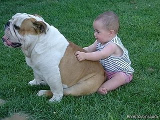 click for enlarge 480 X 360 48,2 Kb picture