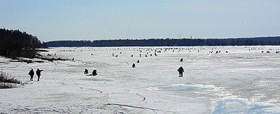 click for enlarge 1000 X 408 214,7 Kb picture