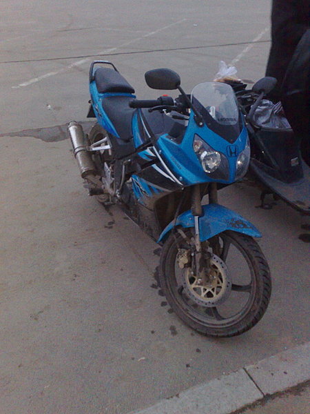 click for enlarge 1920 X 2560 771,7 Kb picture