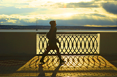 click for enlarge 800 X 532 491,6 Kb picture