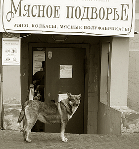 click for enlarge 750 X 800 448,4 Kb picture