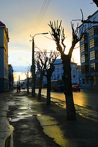 click for enlarge 532 X 800 574,2 Kb picture