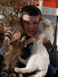click for enlarge 240 X 320 25,6 Kb picture