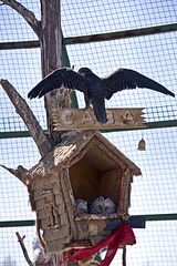 click for enlarge 1024 X 1536 500,3 Kb picture