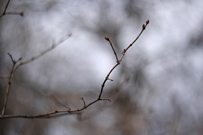 click for enlarge 1920 X 1280 208,5 Kb picture