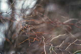 click for enlarge 1024 X 685 269,3 Kb picture