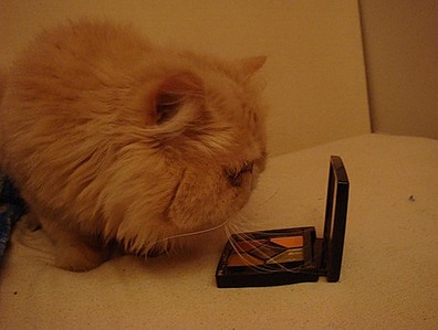 click for enlarge 500 X 378  33,4 Kb picture
