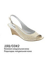 click for enlarge 201 X 245  9,4 Kb picture