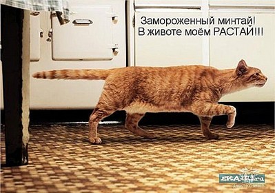 click for enlarge 480 X 337  50,7 Kb picture