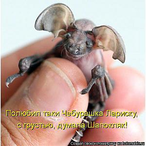 click for enlarge 600 X 600  48,3 Kb picture