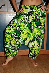 click for enlarge 683 X 1024 501,8 Kb picture