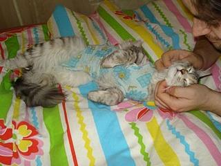 click for enlarge 448 X 336 26,4 Kb picture