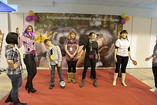 click for enlarge 1280 X 854 308,2 Kb picture