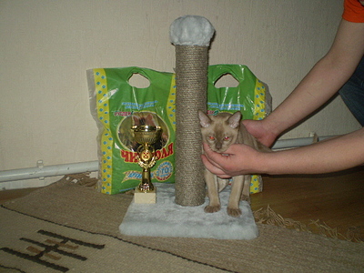 click for enlarge 640 X 480 167,7 Kb picture