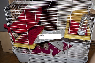 click for enlarge 951 X 634 289,0 Kb picture